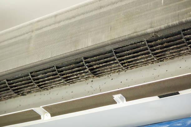 Best Best Air Duct Cleaning Company  in Whitney, TX